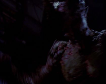 PDVD_780.jpg