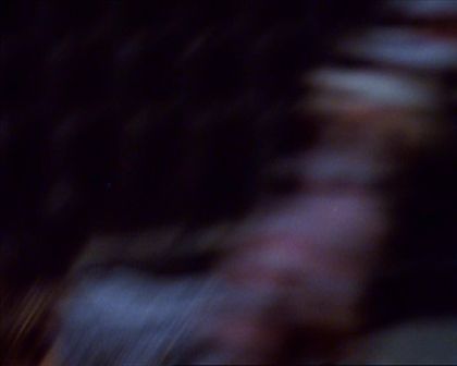 PDVD_782.jpg