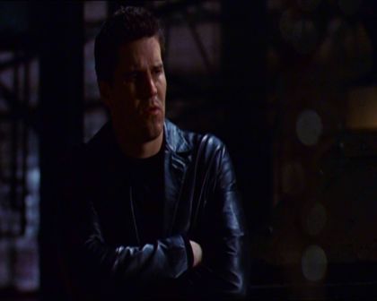 PDVD_800.jpg