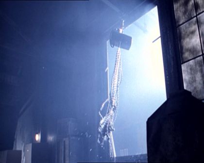 PDVD_872.jpg