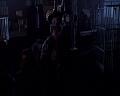 PDVD_333
