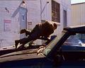 PDVD_456