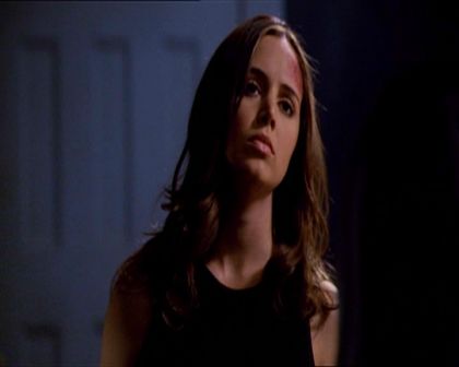 PDVD_113.jpg