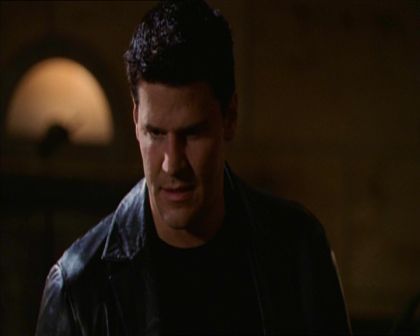 PDVD_209.jpg