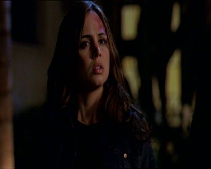 PDVD_236.jpg