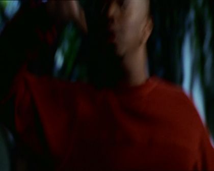 PDVD_241.jpg