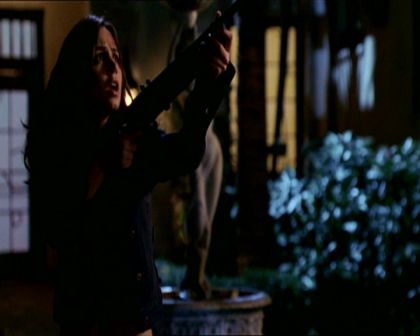 PDVD_245.jpg