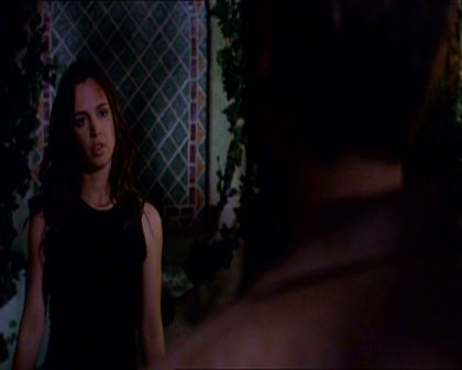 PDVD_323.jpg