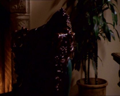 PDVD_333.jpg