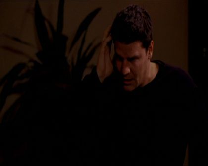 PDVD_355.jpg