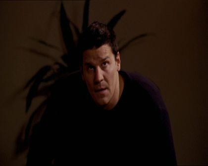 PDVD_357.jpg