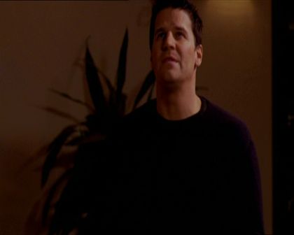 PDVD_360.jpg
