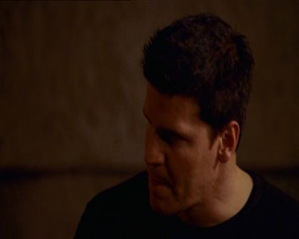 PDVD_373.jpg