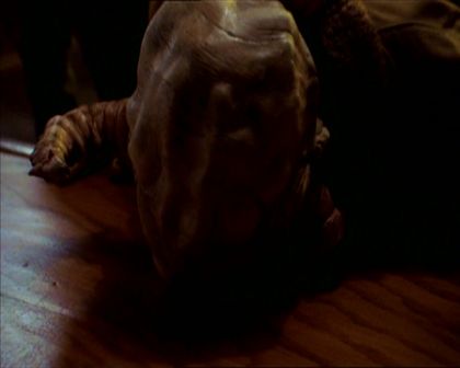 PDVD_408.jpg