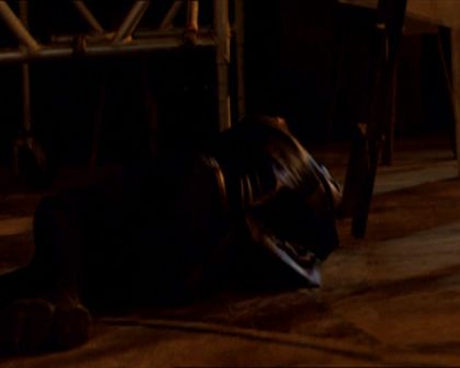 PDVD_795.jpg