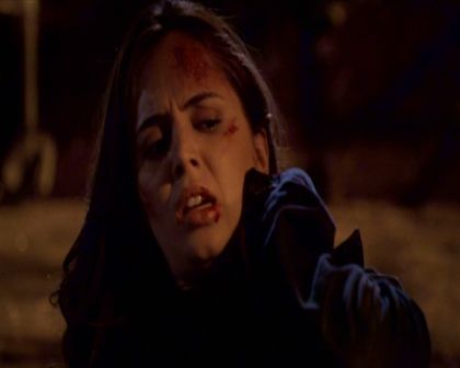 PDVD_020.jpg