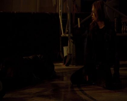 PDVD_029.jpg
