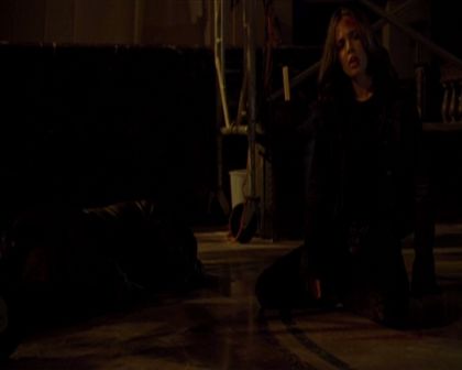 PDVD_030.jpg