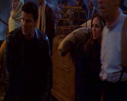 PDVD_181.jpg
