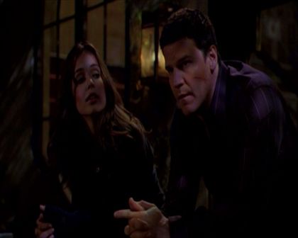 PDVD_844.jpg