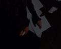 PDVD_012