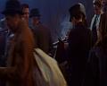 PDVD_176