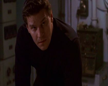 PDVD_576.jpg