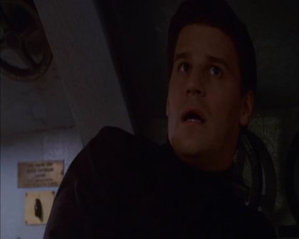 PDVD_722.jpg