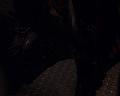 PDVD_282