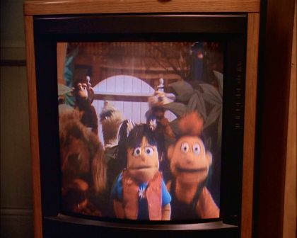 PDVD_004.jpg