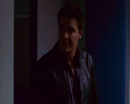 PDVD_283.jpg
