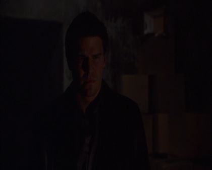 PDVD_300.jpg