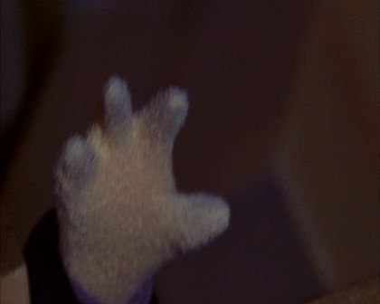 PDVD_319.jpg
