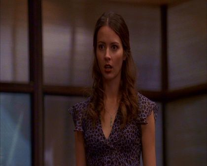 PDVD_341.jpg