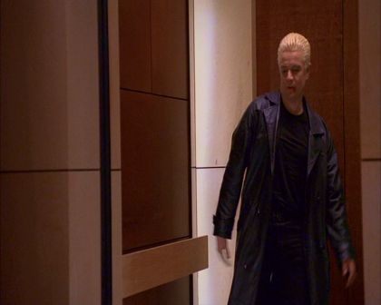 PDVD_537.jpg