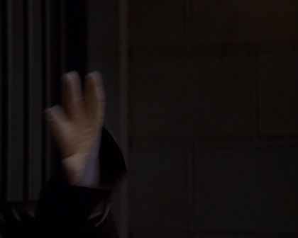 PDVD_703.jpg