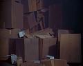 PDVD_318