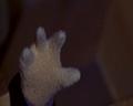 PDVD_319
