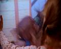 PDVD_981