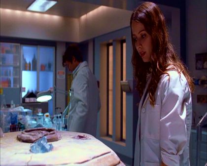 PDVD_183.jpg