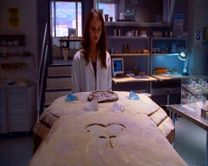 PDVD_206.jpg