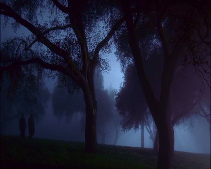 PDVD_713.jpg