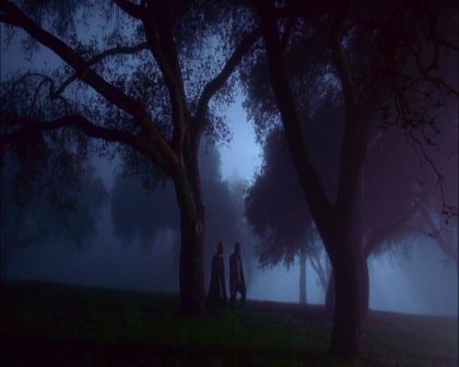 PDVD_715.jpg