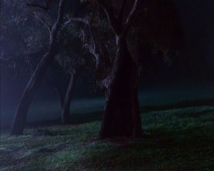 PDVD_718.jpg