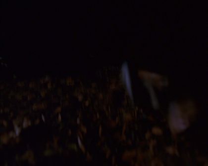 PDVD_736.jpg