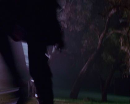 PDVD_738.jpg
