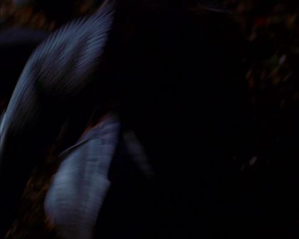 PDVD_752.jpg