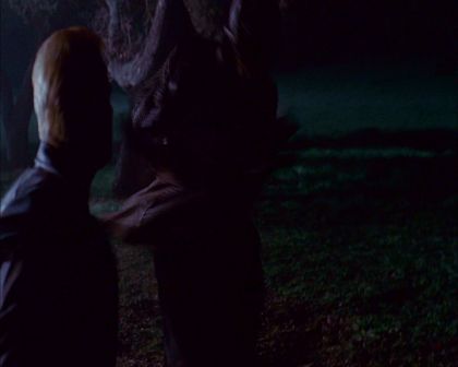 PDVD_759.jpg