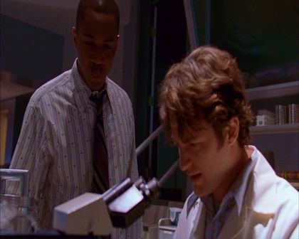 PDVD_763.jpg