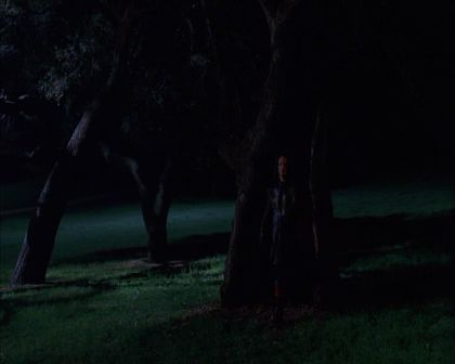PDVD_790.jpg